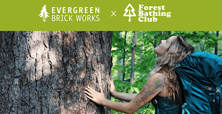 ForestBathingClub_EvergreenBrickWorks_Summer2024-1